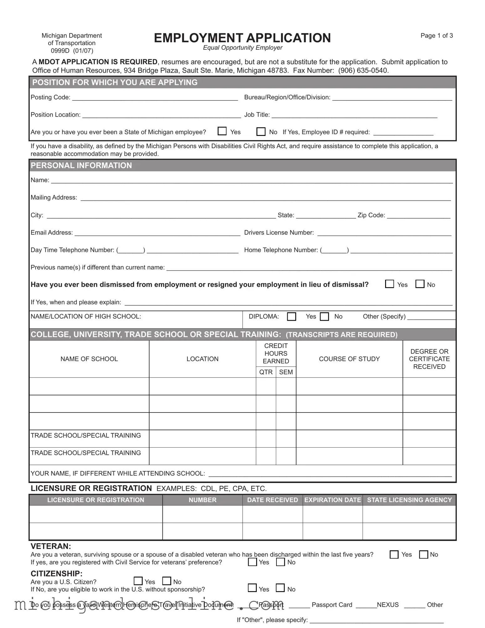 Blank Michigan 0999D PDF Form
