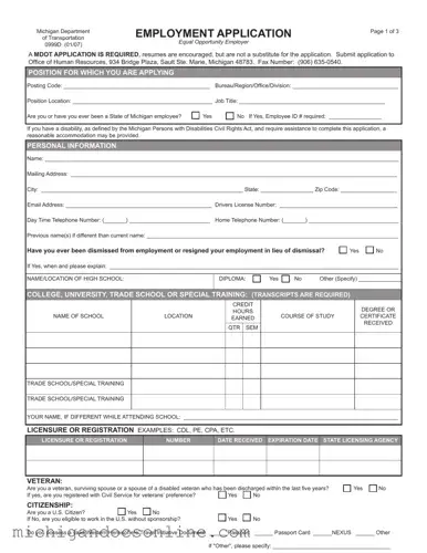 Blank Michigan 0999D PDF Form